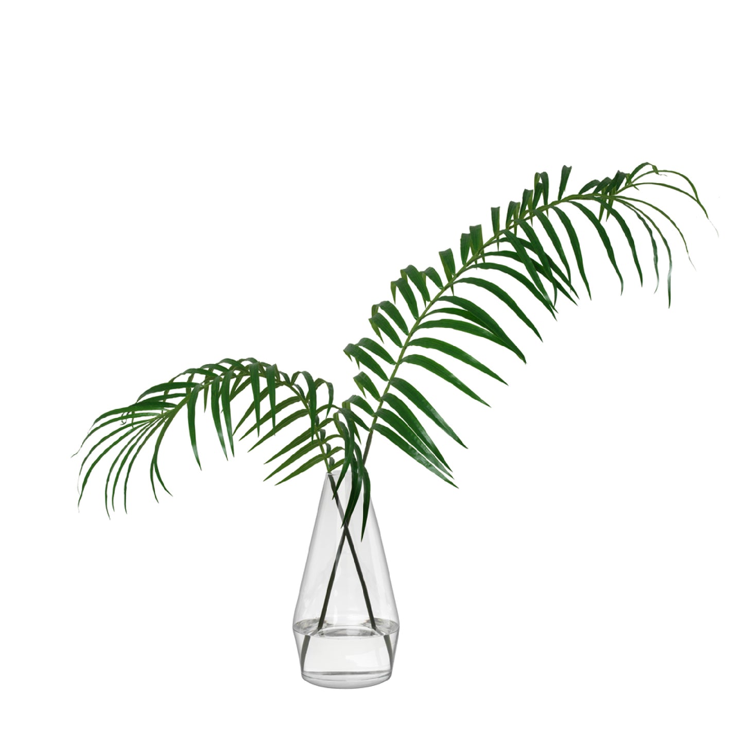 Frond of You