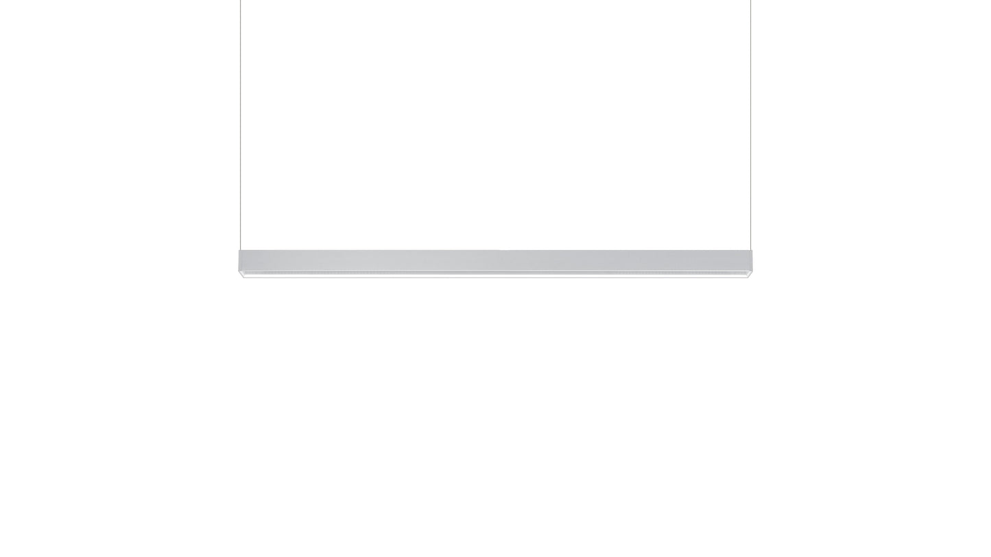 Tru Pendant Horizontal Ceiling Light