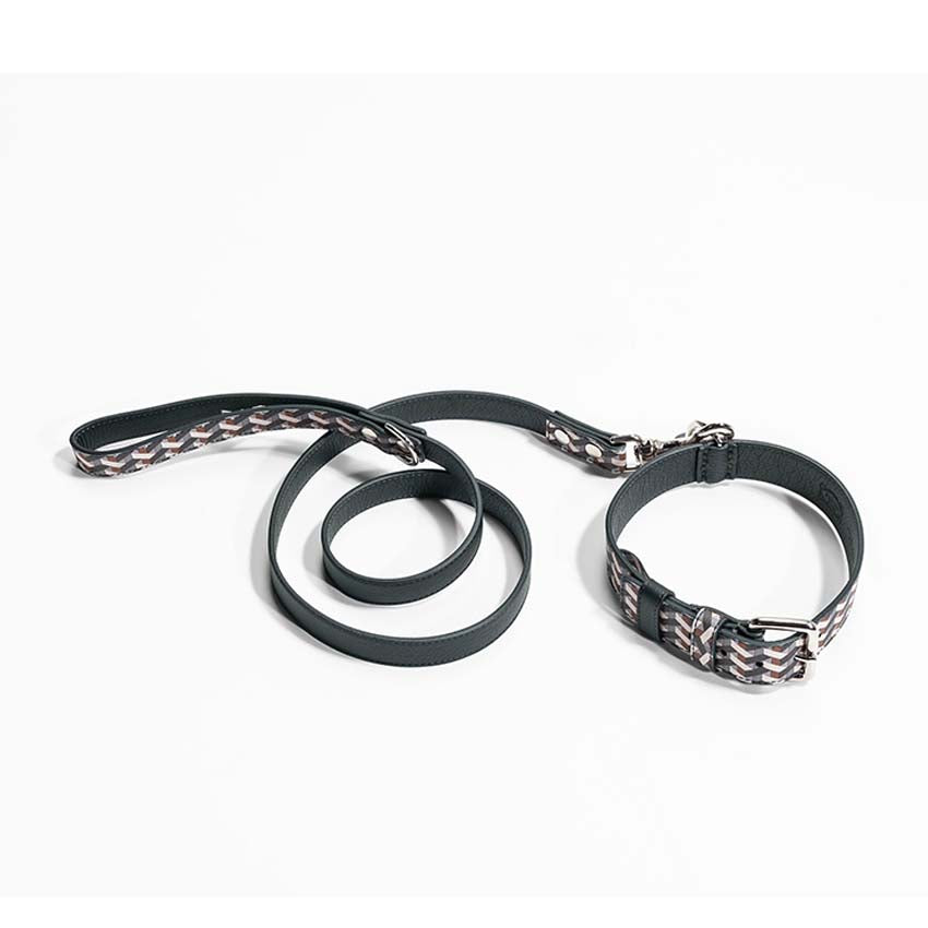 Pet collection | Leash