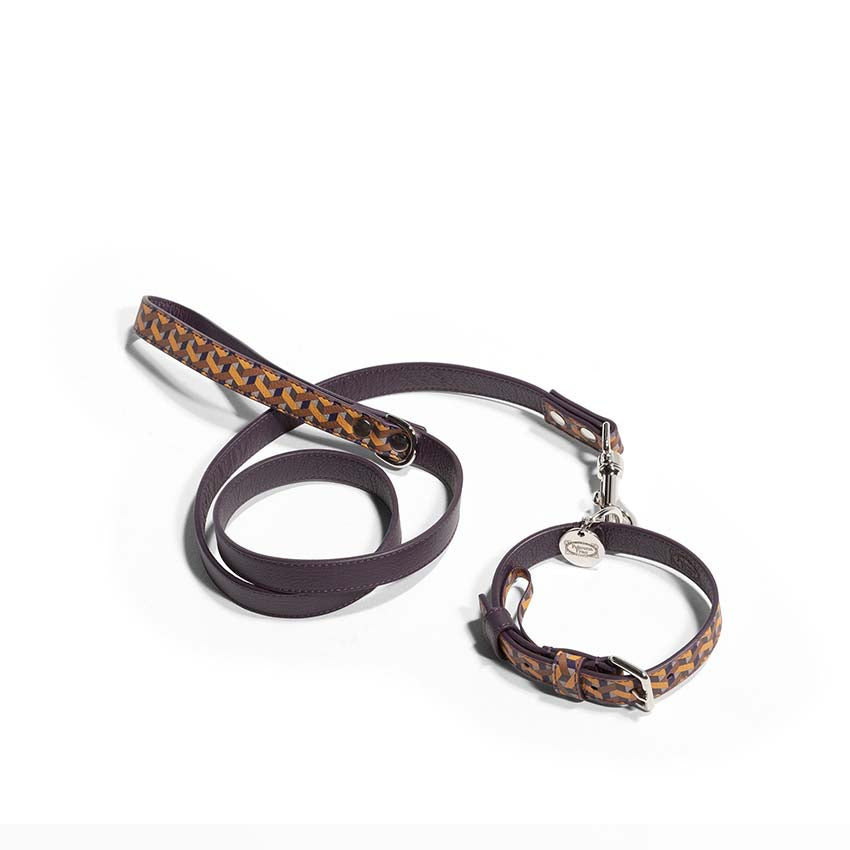 Pet collection | Leash