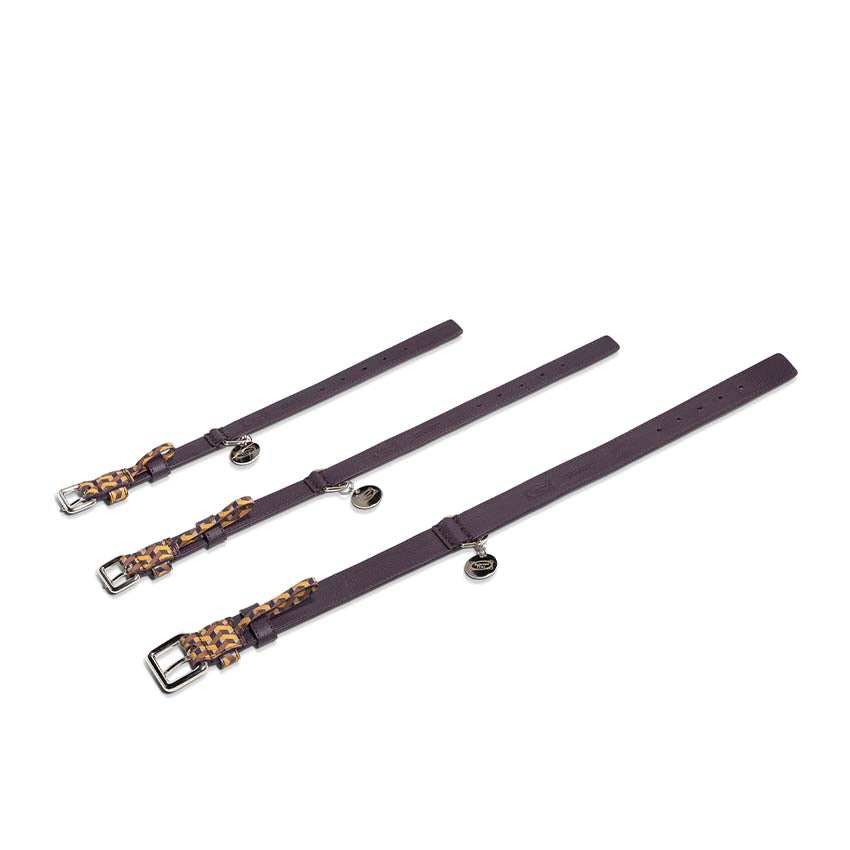 Pet collection | Collar