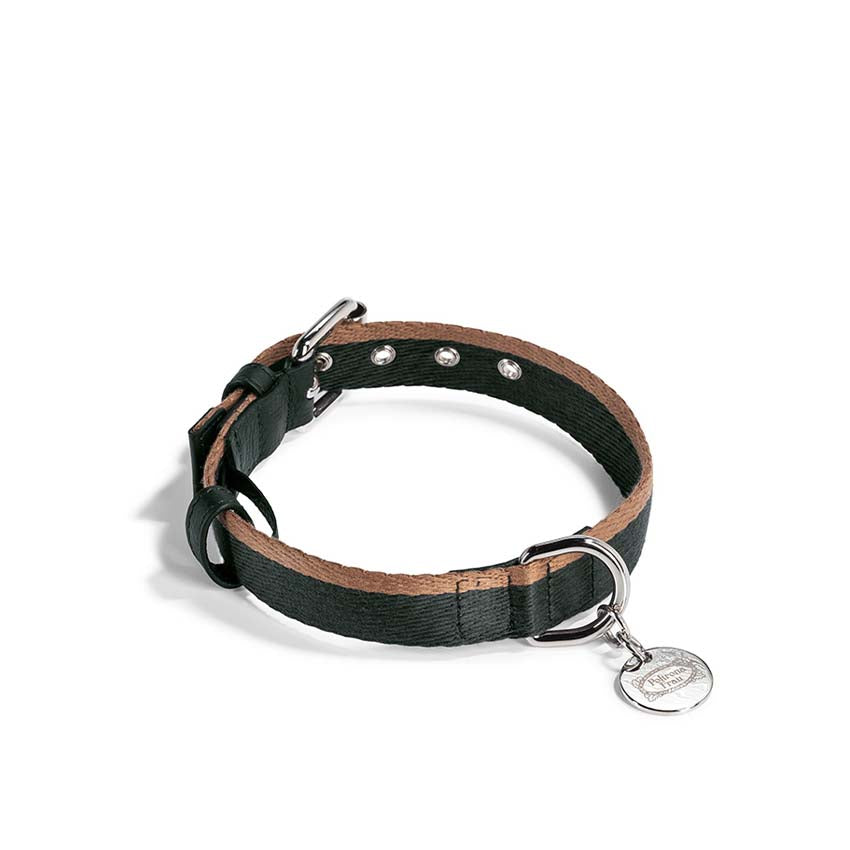 Pet collection | Collar