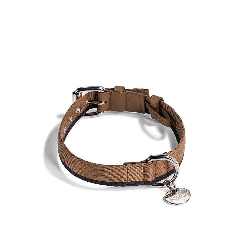 Pet collection | Collar