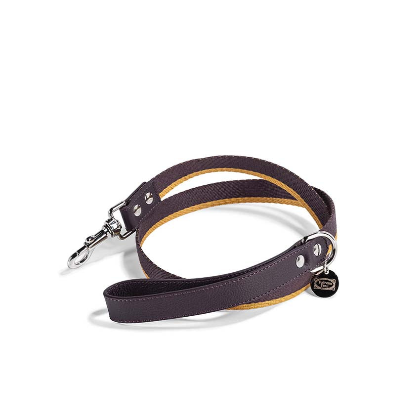 Pet collection | Leash