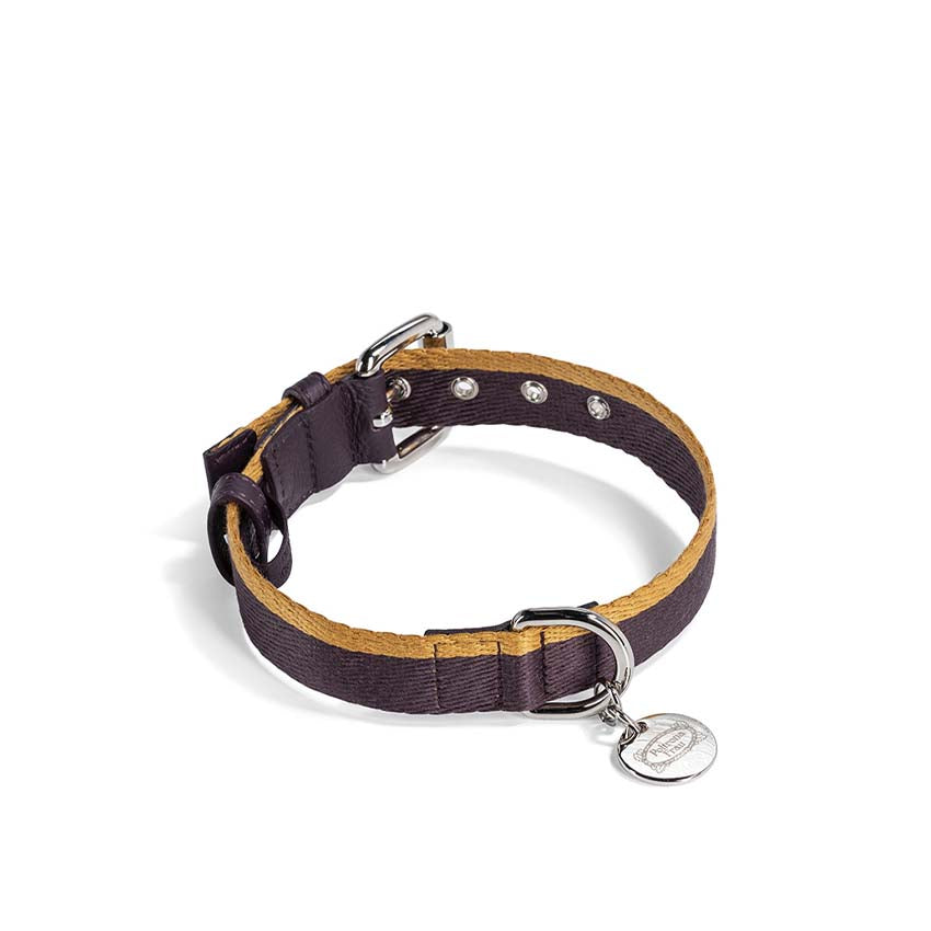 Pet collection | Collar