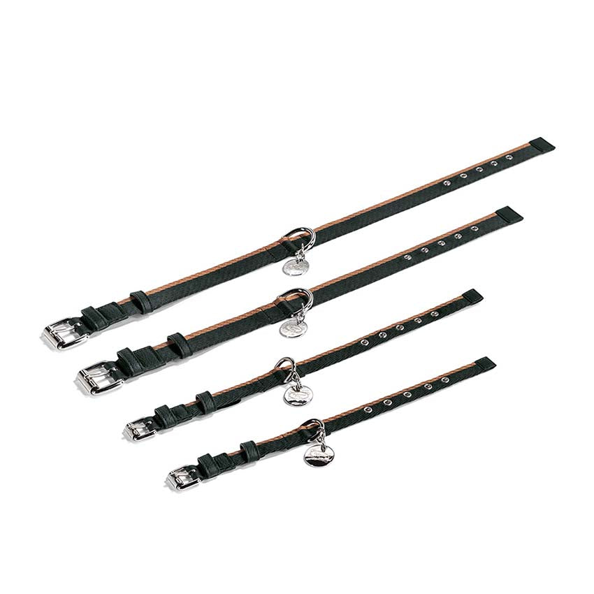 Pet collection | Collar