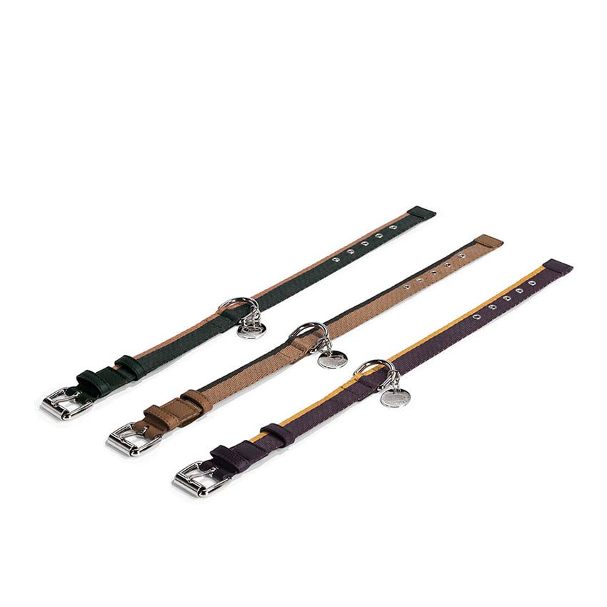 Pet collection | Collar
