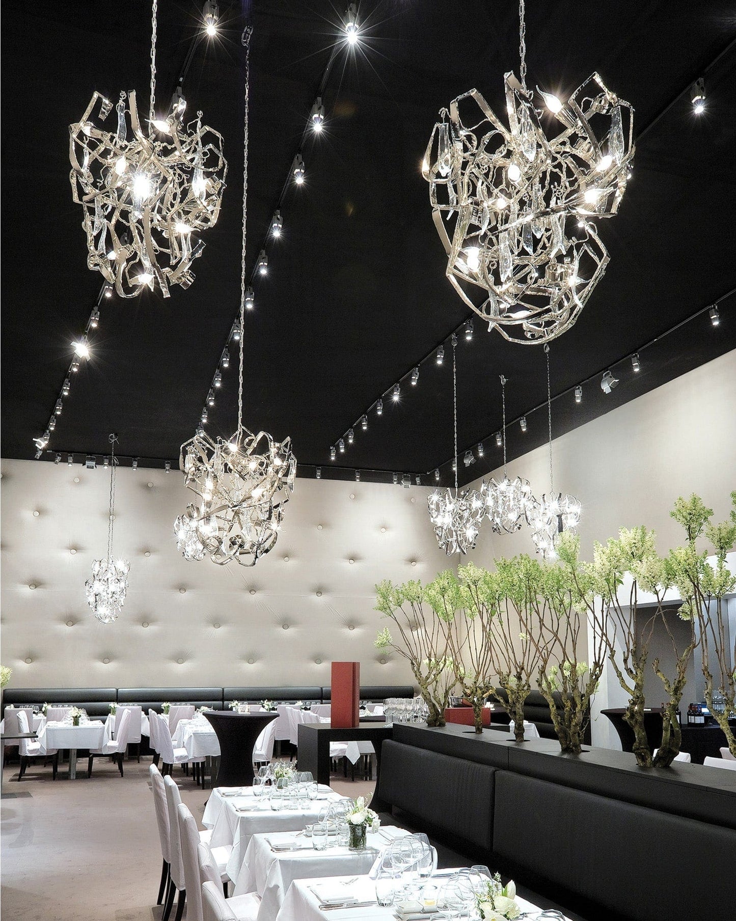 Delphinium Chandelier Conical