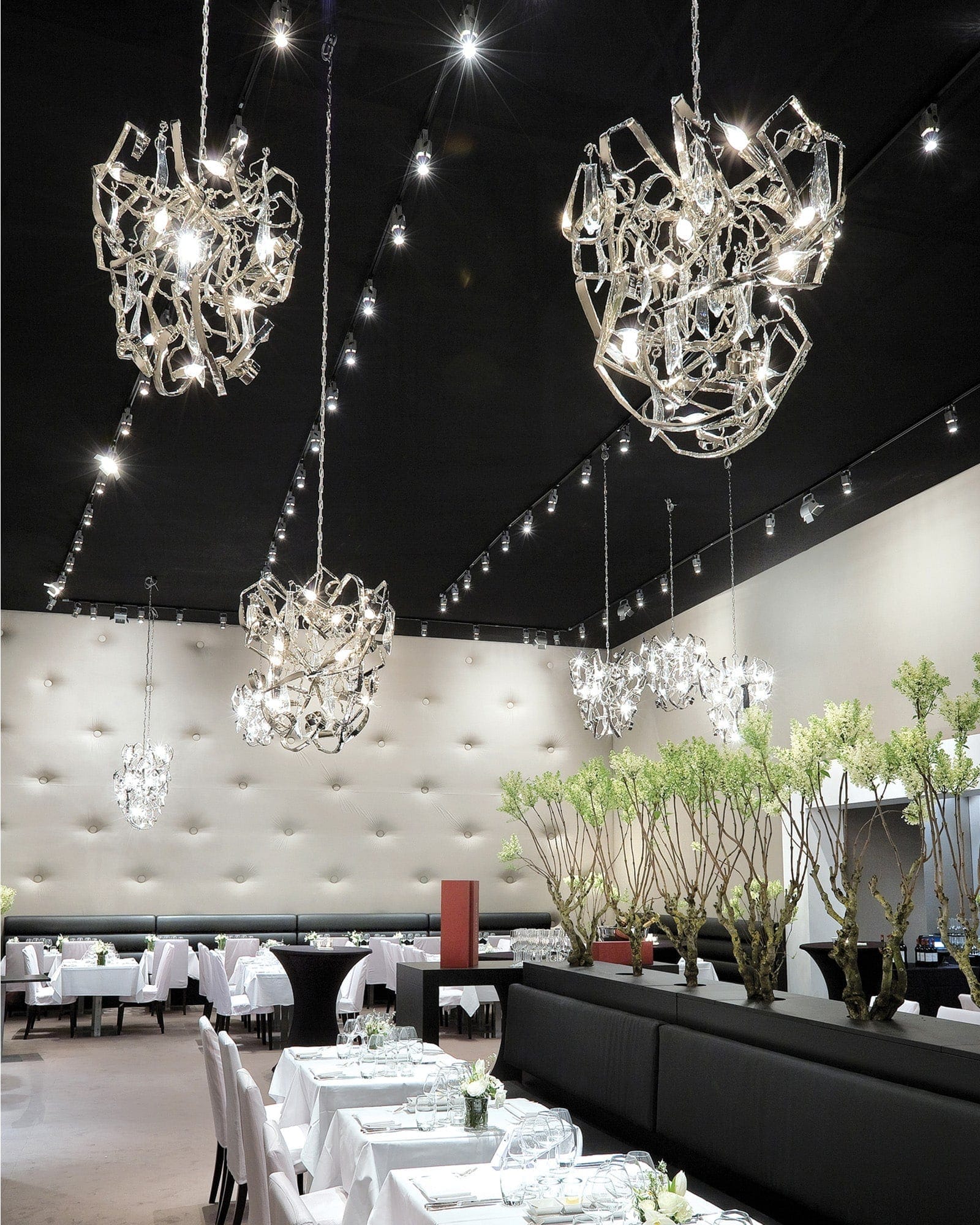 Delphinium Chandelier Conical