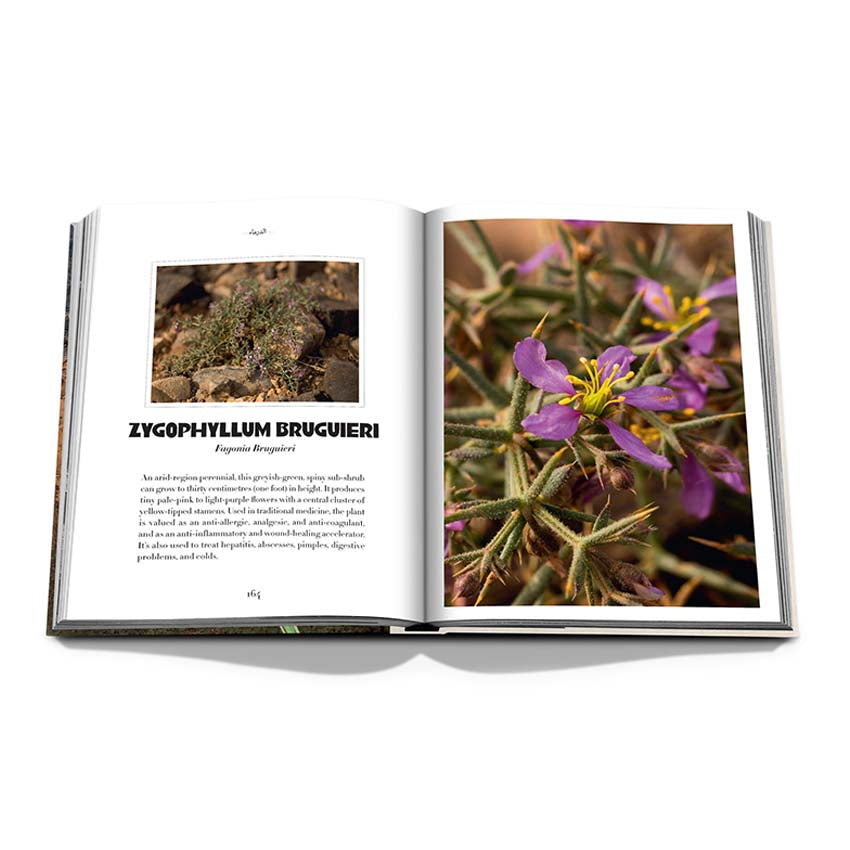 Alula Flora