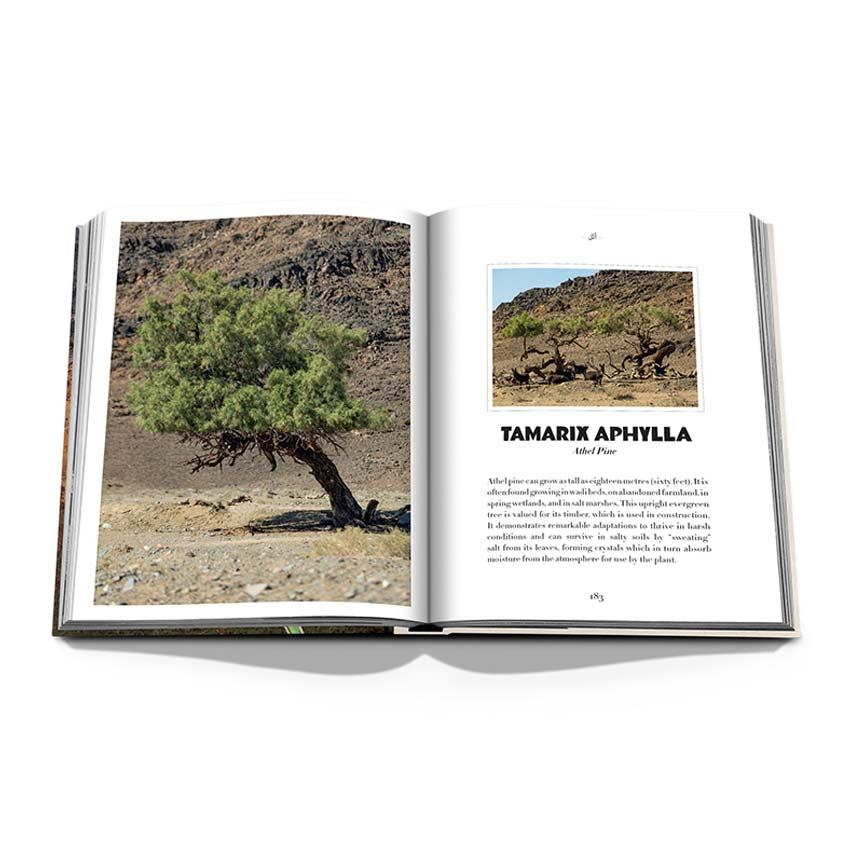 Alula Flora