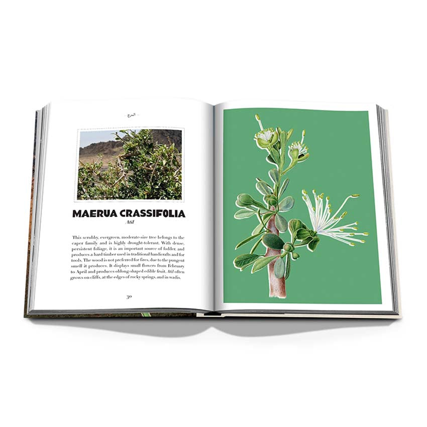 Alula Flora