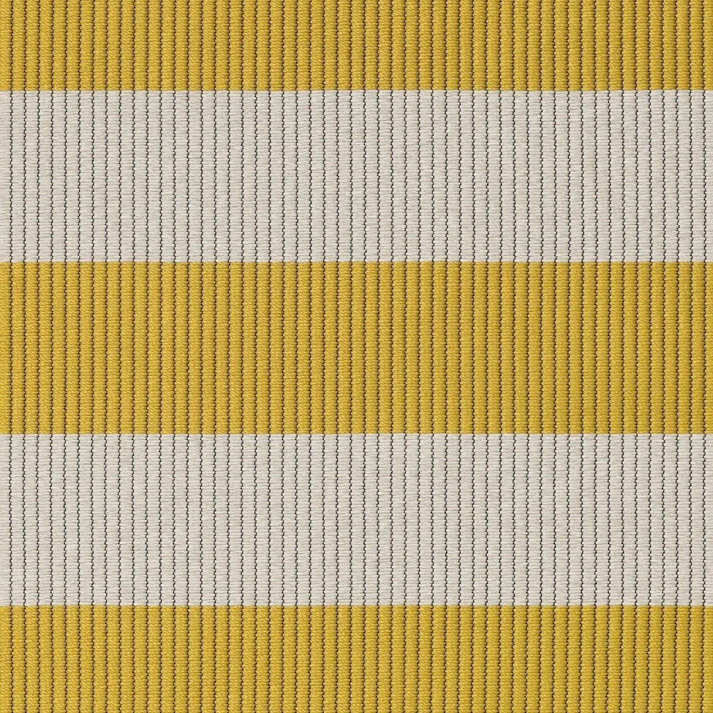 Big Stripe IN/OUT