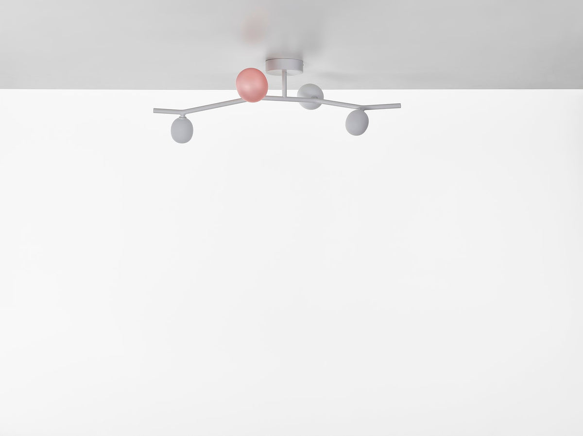 IVY CEILING