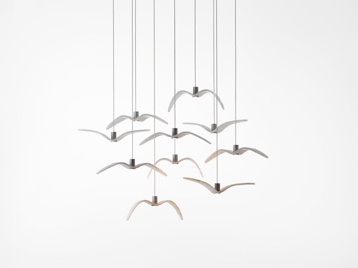 NIGHT BIRDS MINI