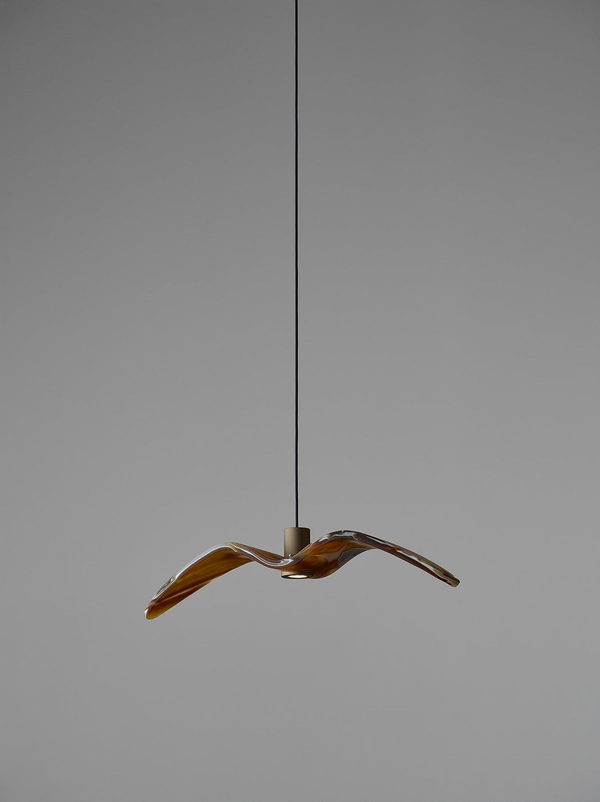 NIGHT BIRDS MINI