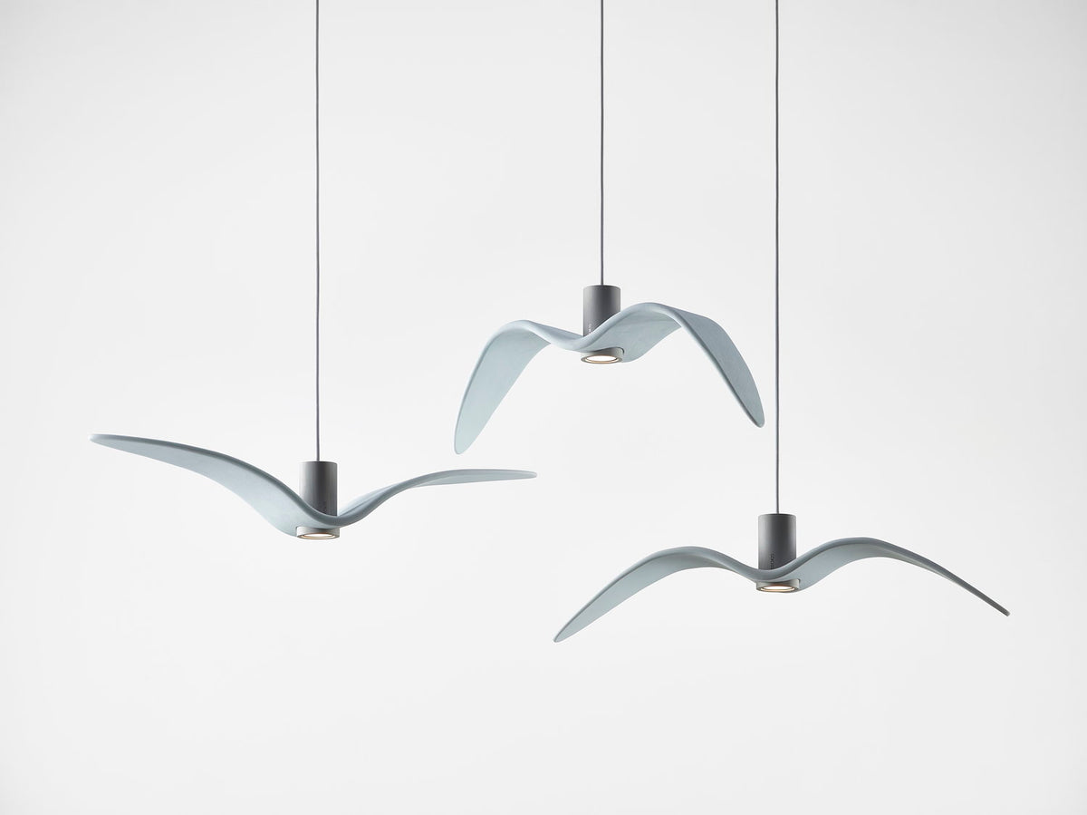 NIGHT BIRDS EXTERIOR