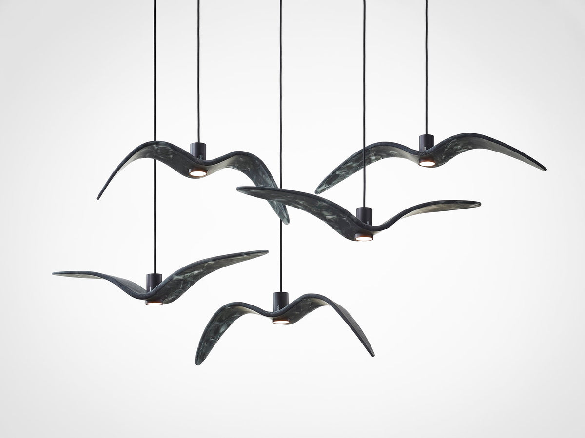 NIGHT BIRDS