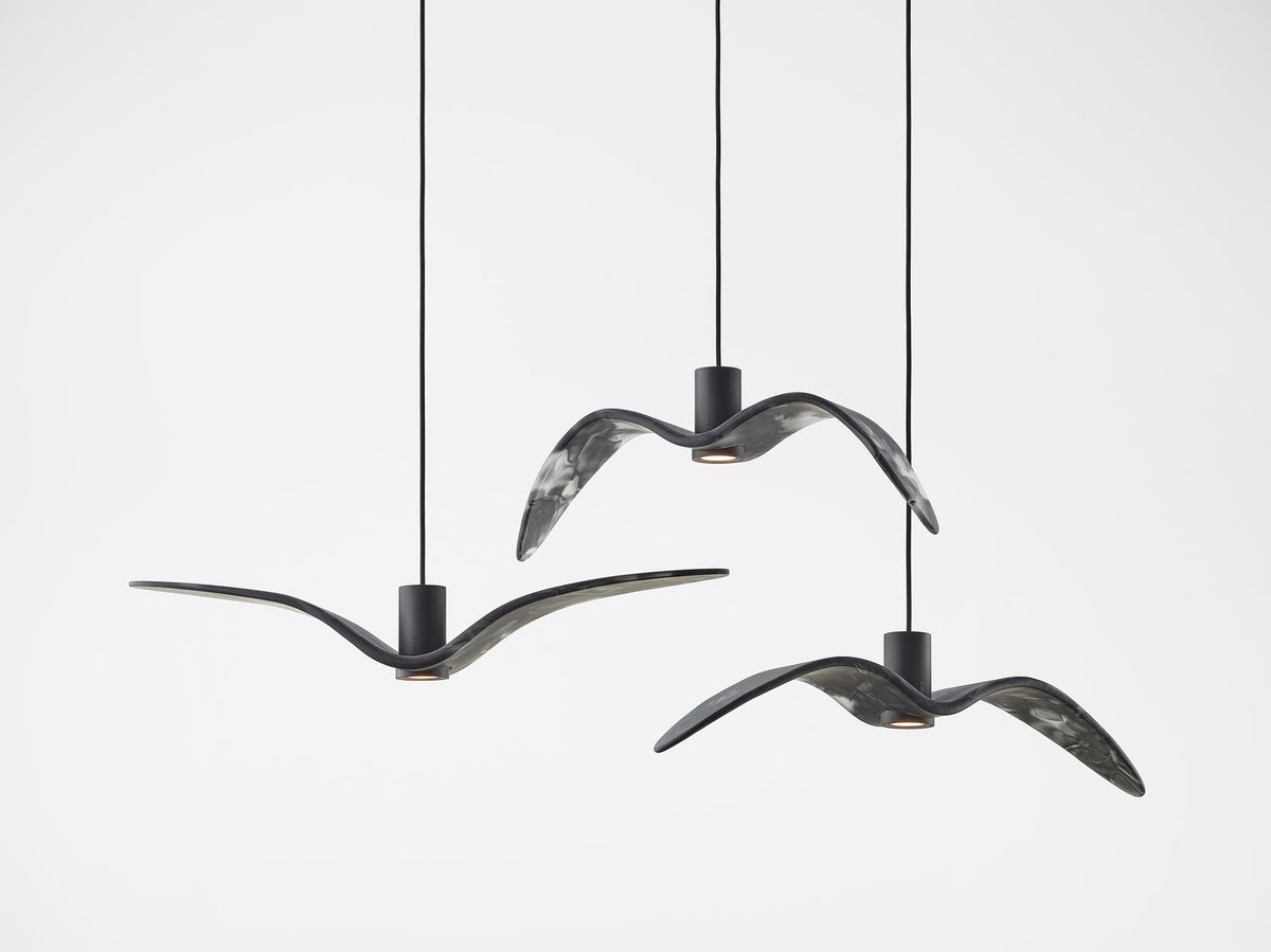 NIGHT BIRDS