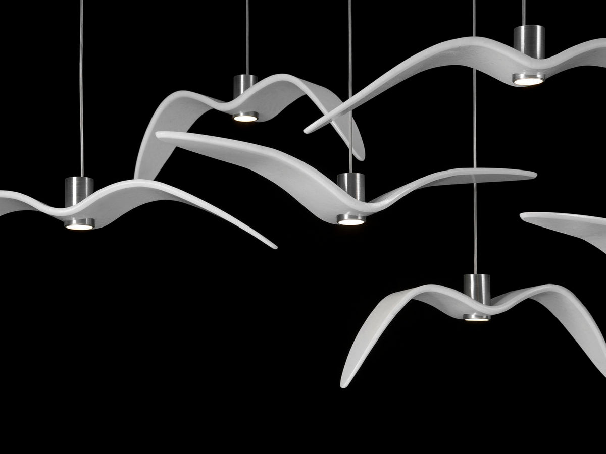 NIGHT BIRDS