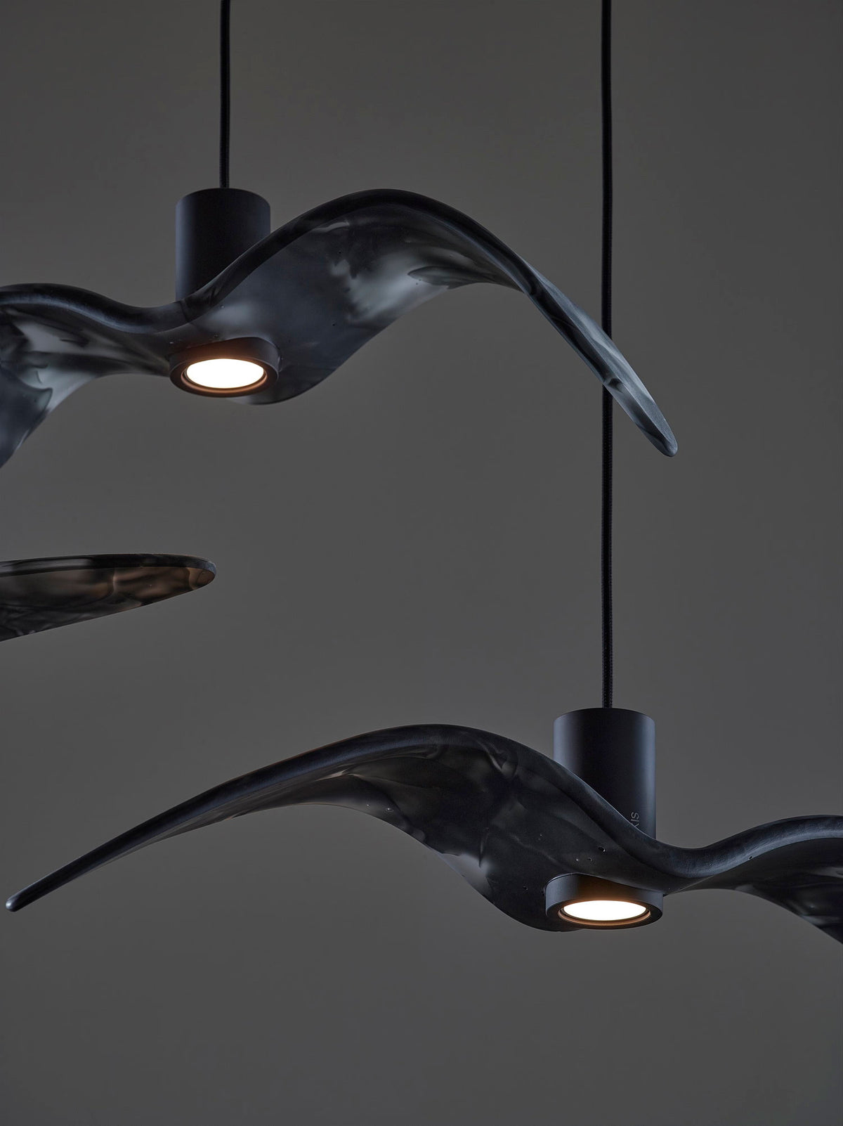 NIGHT BIRDS