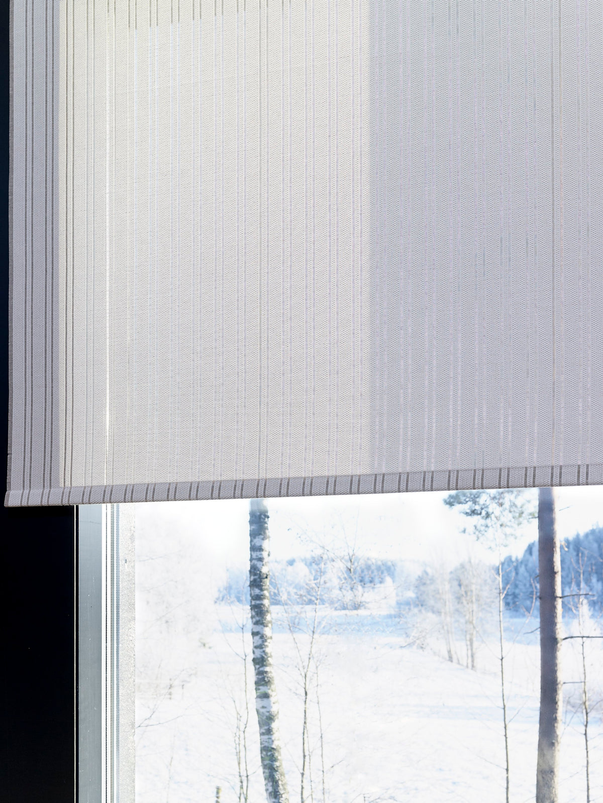 Vista Blind