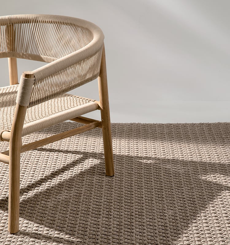 Desert Outdoor Rug