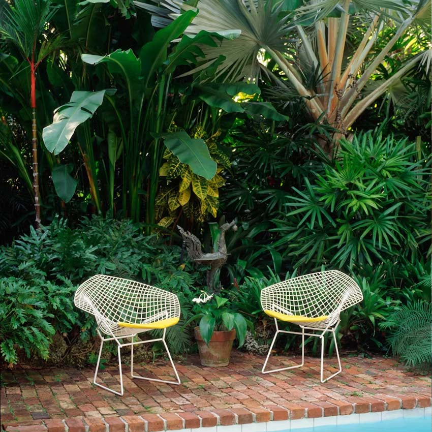Bertoia Diamond Lounge Chair w. Seat Pad