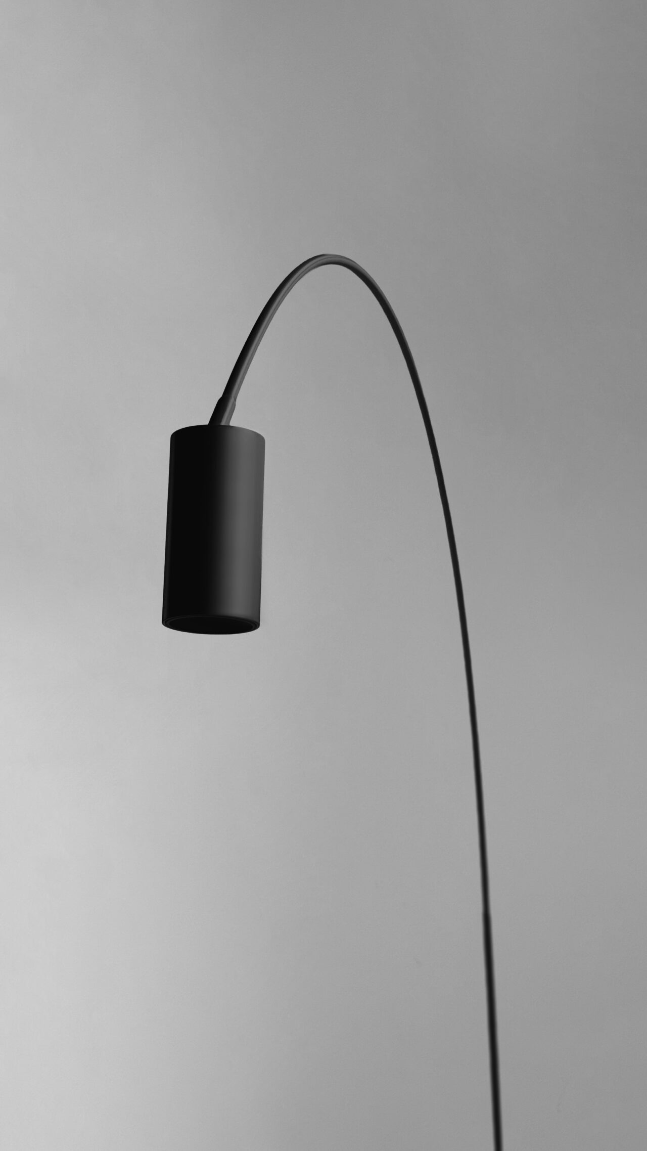 Fox Wall Light
