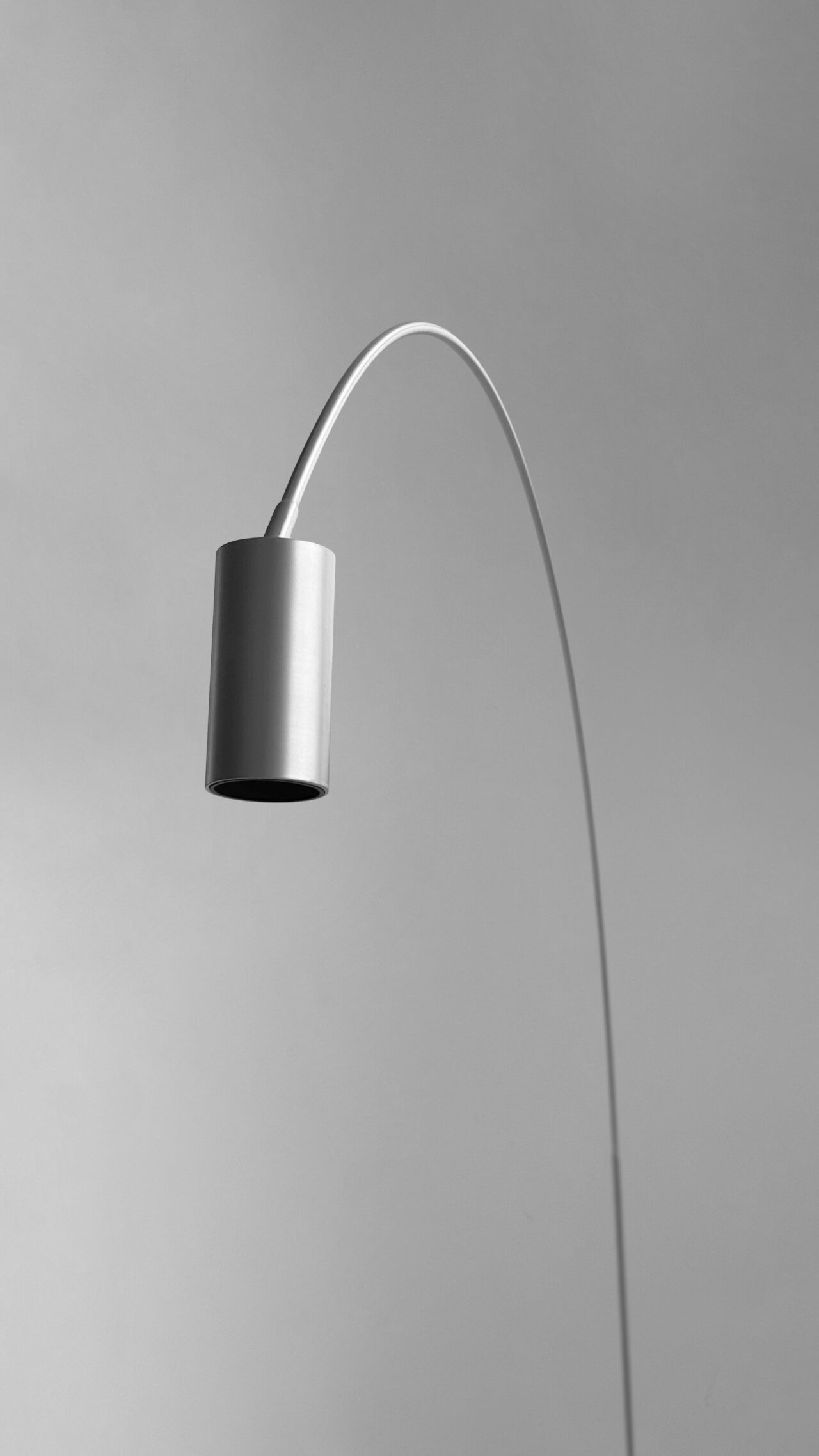 Fox Wall Light
