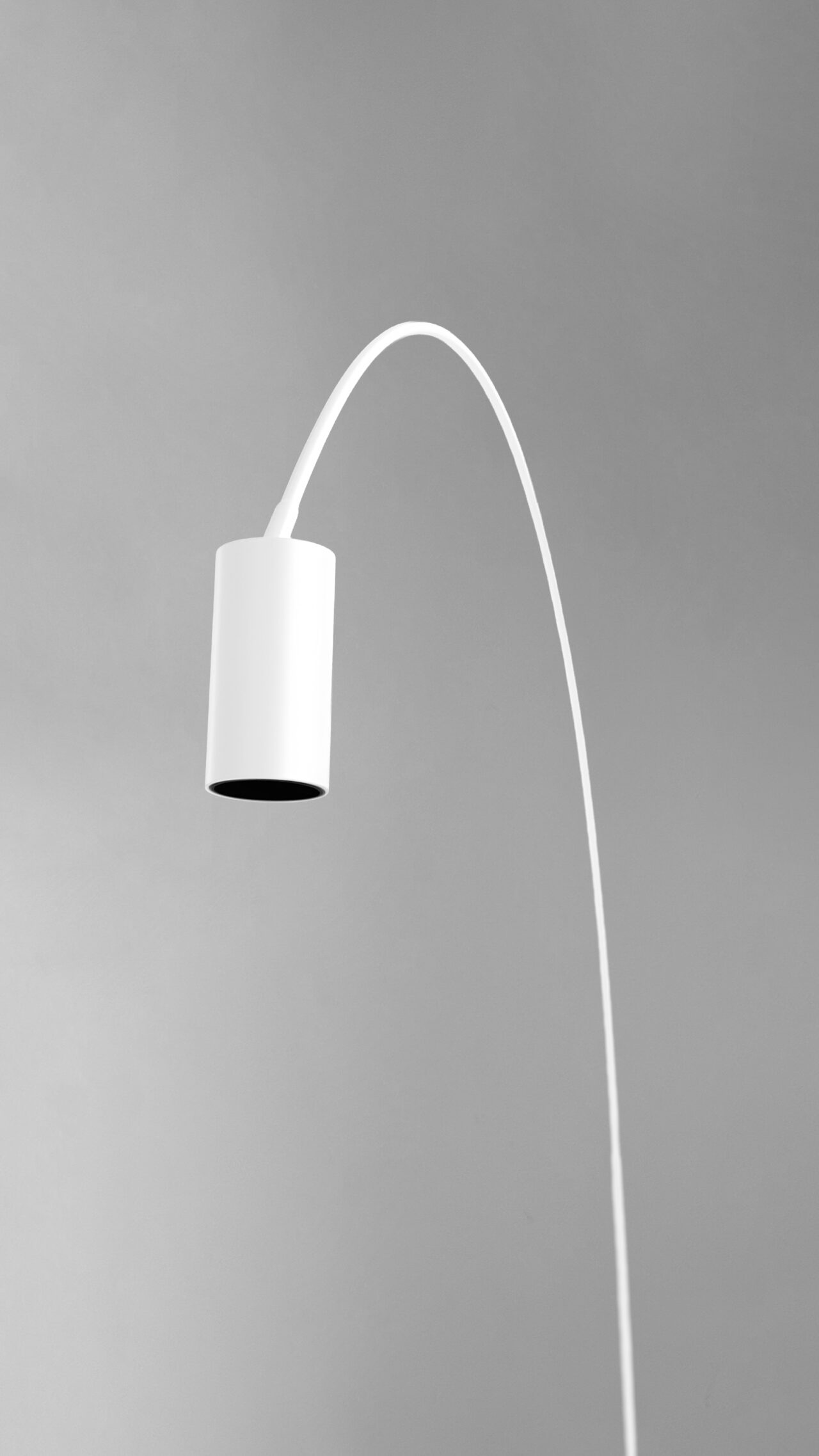 Fox Wall Light