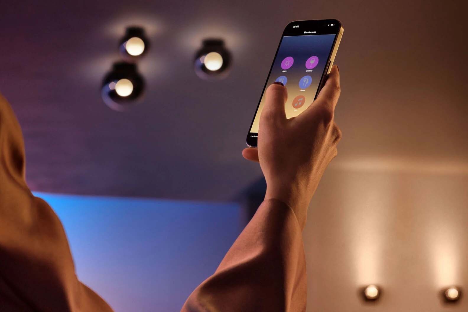 Luna Piena Ceiling Lamp