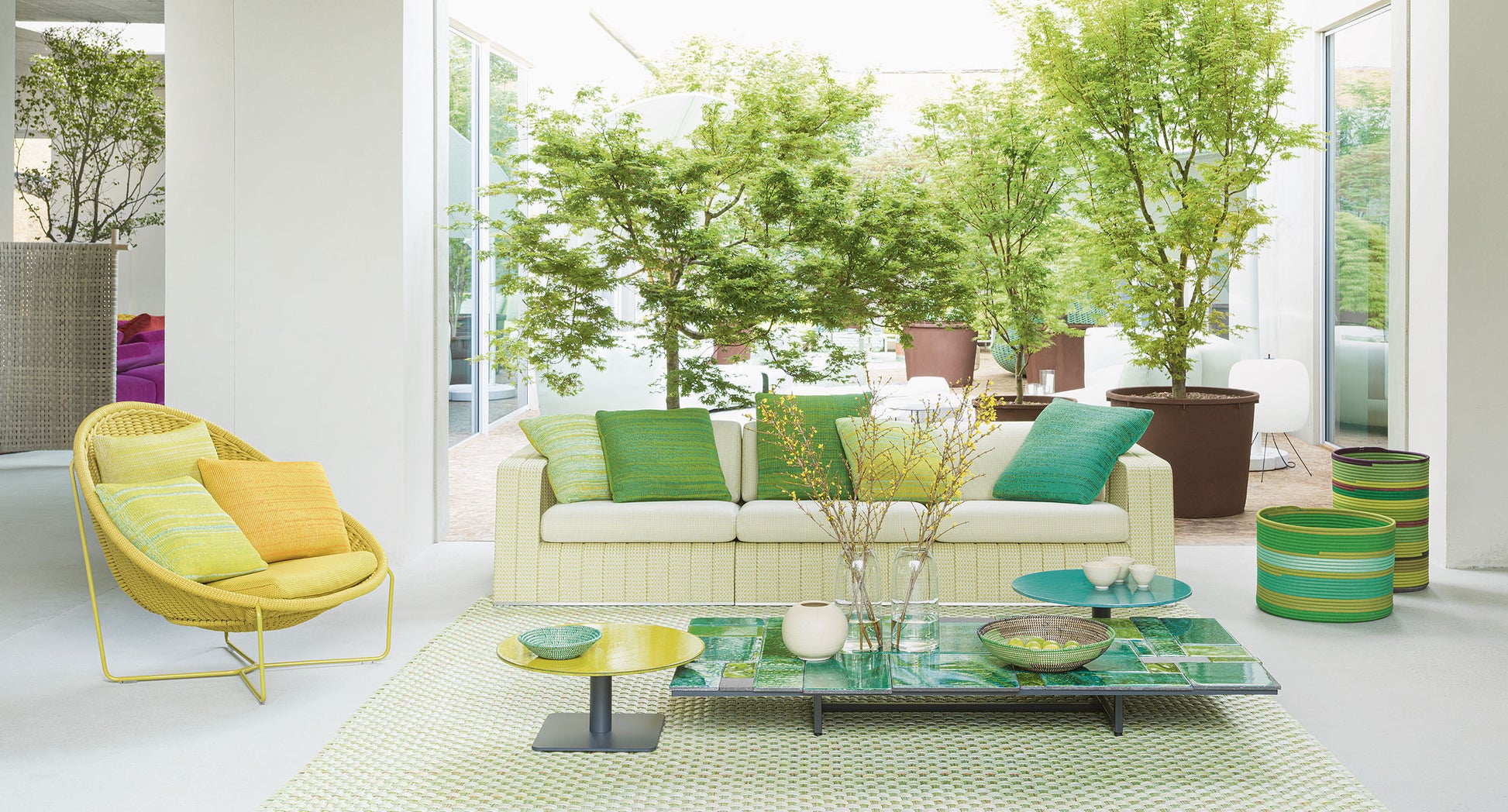 Sciara Low Coffee Table