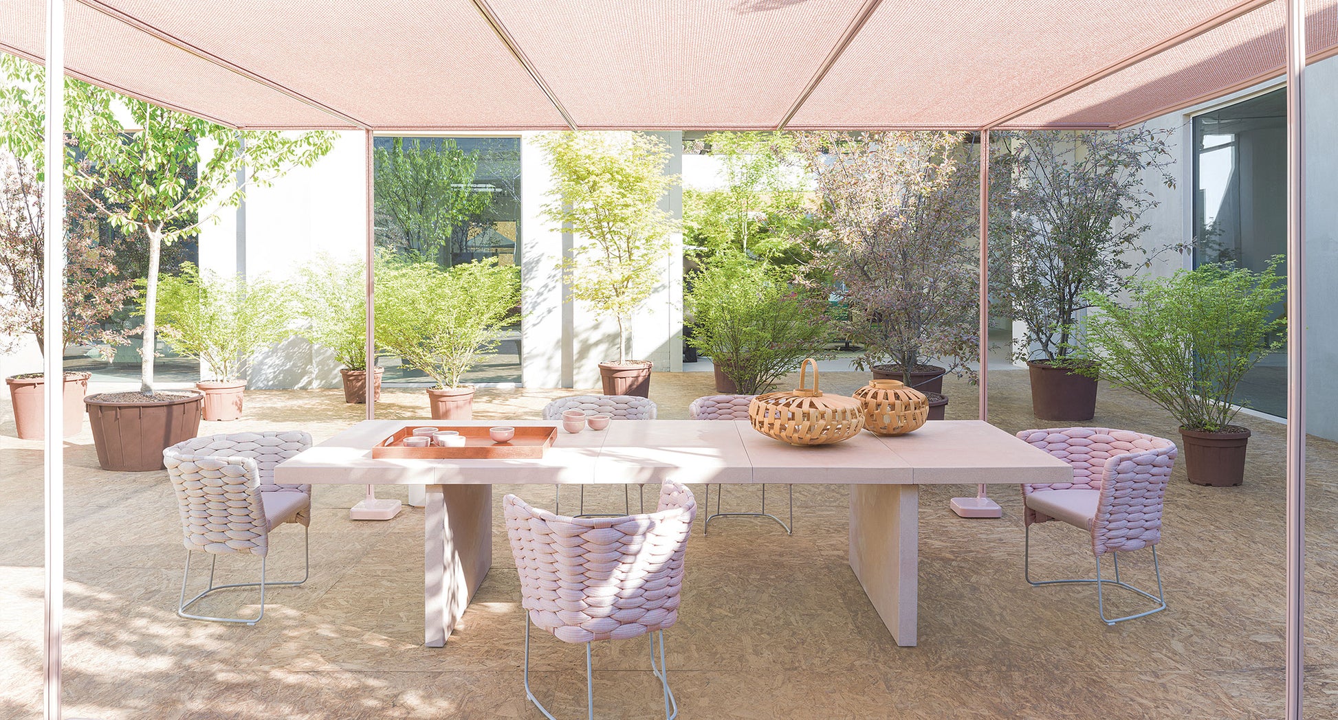 Ami Dining Chair