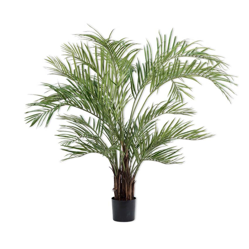 Palm Green 170cm