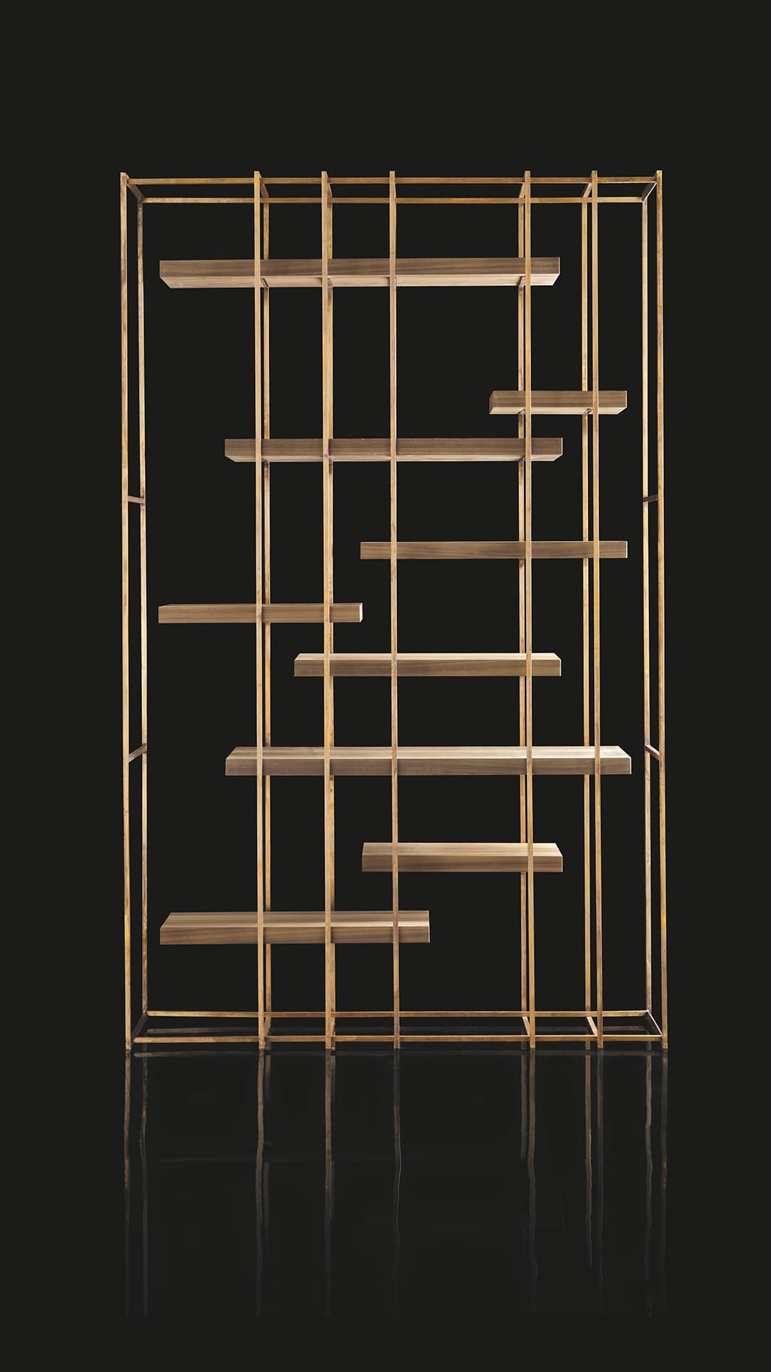 Cage B Bookshelf