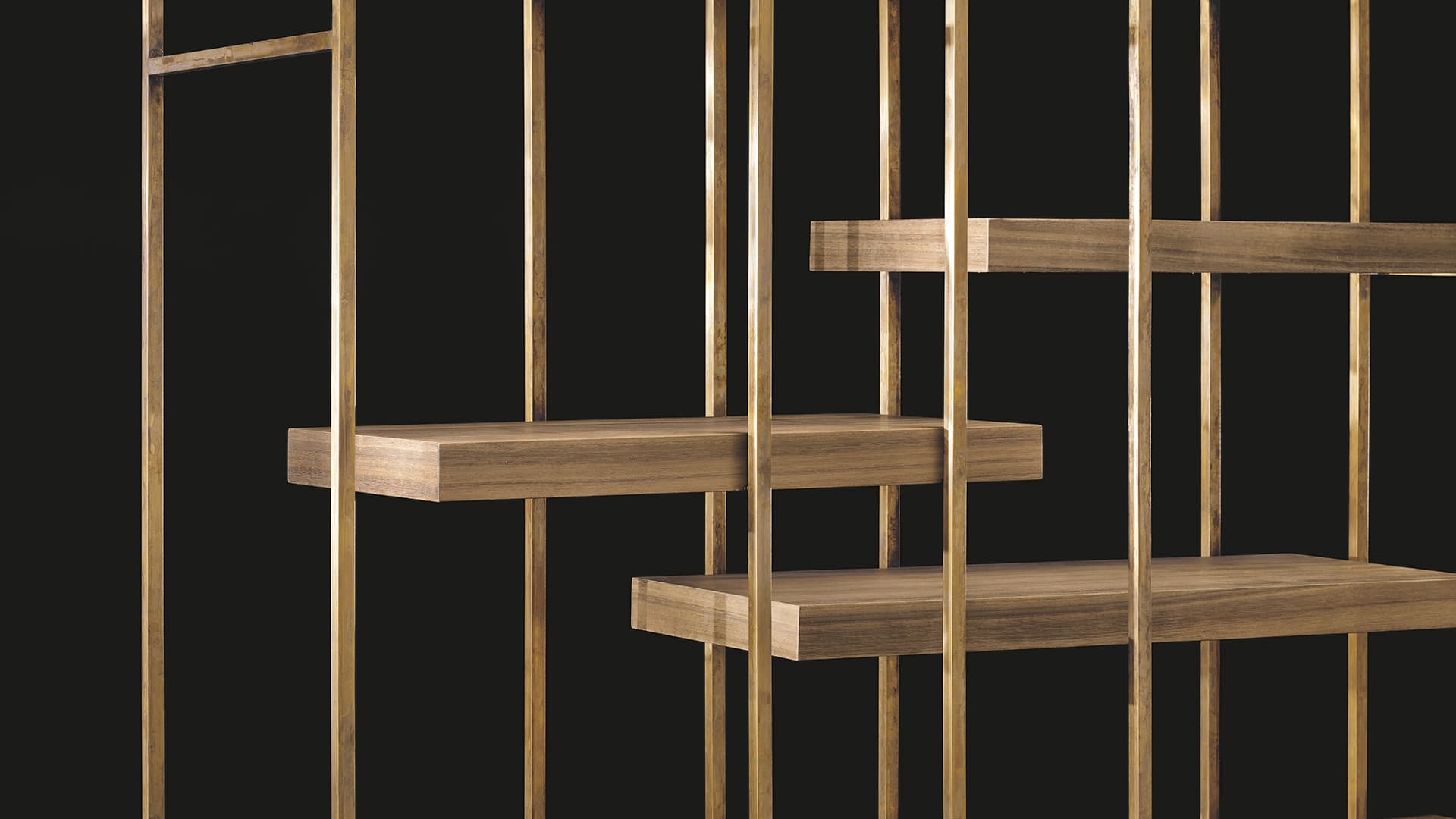Cage B Bookshelf