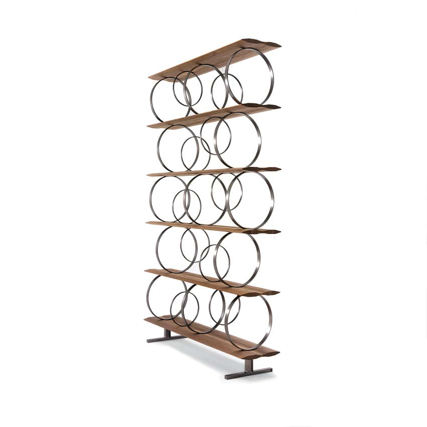 Flying Circles Bookcase
