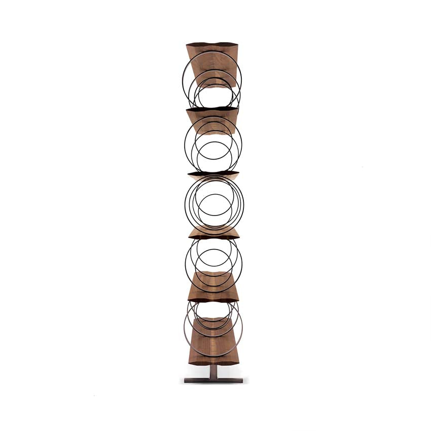 Flying Circles Bookcase