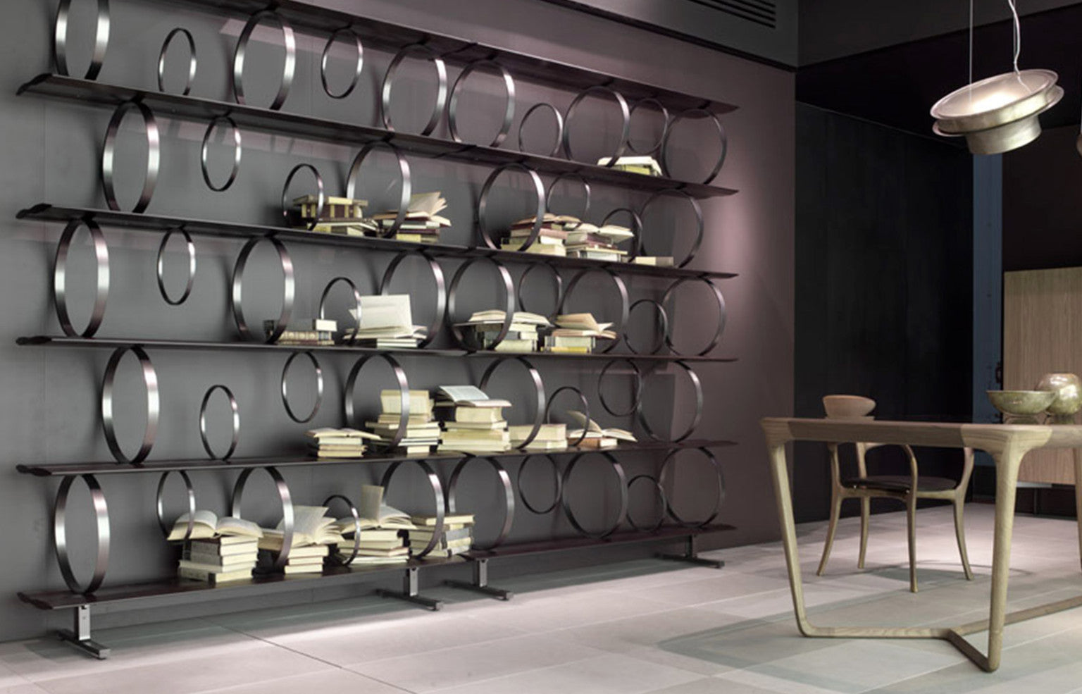 Flying Circles Bookcase